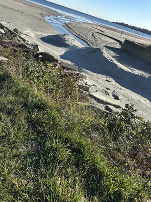 Newport Beach Hotel & Suites by null