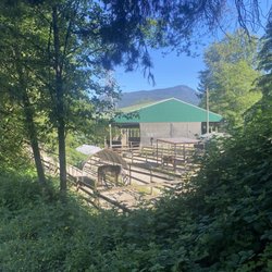 North Shore Equestrian Center