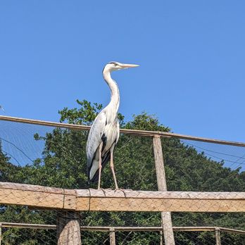 Fota Wildlife Park - Parks Near Me - Fota, Colorado