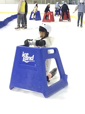 Taipei Arena Ice Land by null