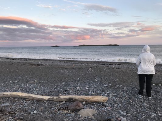 Irving Nature Park by null