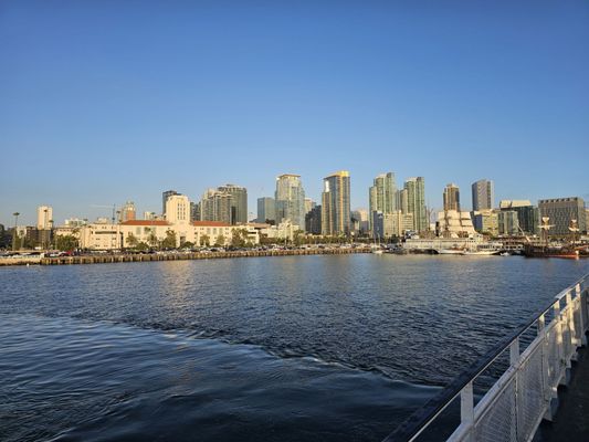 City Cruises by null