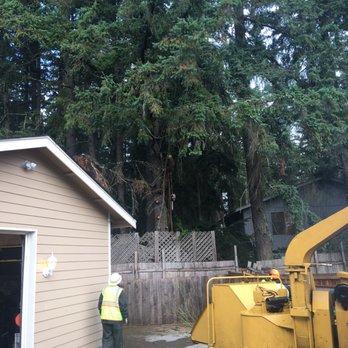 Wright's Logging & Tree Service - Tree Services Near Me Wright's Logging & Tree Service - Tree Services Near Me