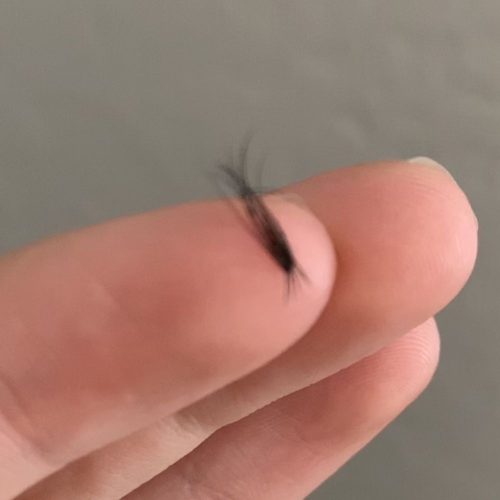 Amazing Lash Studio - Two extensions stuck to each other applied on 5 of my natural lashes!! - Eyelash Service Near Me - Chandler, Arizona