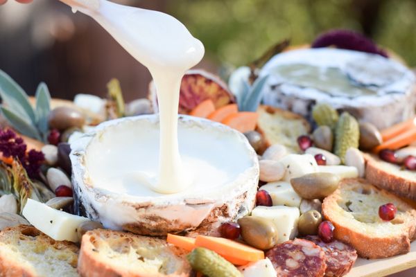 Ollie's American Cheese + Provisions by null