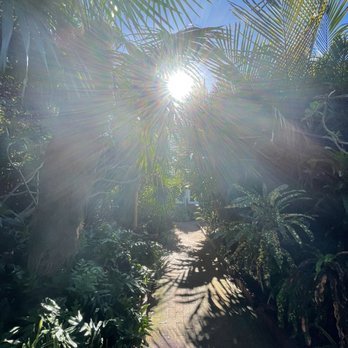 Key West Garden Club - Venues & Event Spaces Near Me - Key West, Florida Key West Garden Club - Venues & Event Spaces Near Me - Key West, Florida