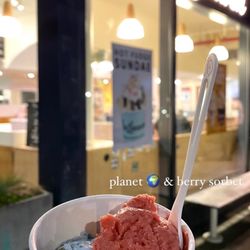 Van Leeuwen Ice Cream - Prospect Heights