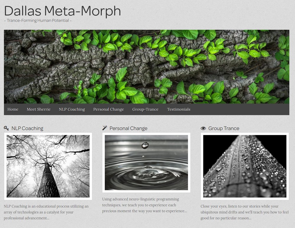 Dallas Meta-Morph Logo