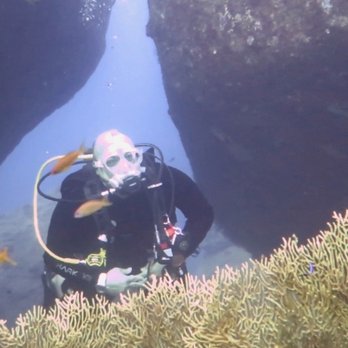 Underwater Safaris - Snorkeling Near Me - Chicago, Illinois Underwater Safaris - Snorkeling Near Me - Chicago, Illinois
