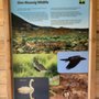 Photo of North Harris Eagle Observatory
