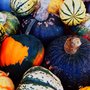 Photo of Moseley Farmers' Market