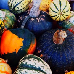 Moseley Farmers' Market - Squash