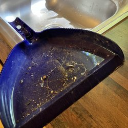 Moose Hillock Camping Resort - NY - Dirty cabin floor