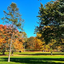 Grant Park Golf Course