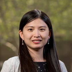 Yanjun Wang, M.D