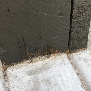 A Good Front Window Cleaning & Pressure Washing - Window Washing Near Me - Highlands Ranch, Colorado
