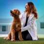 NewDay Veterinary Care University Blvd