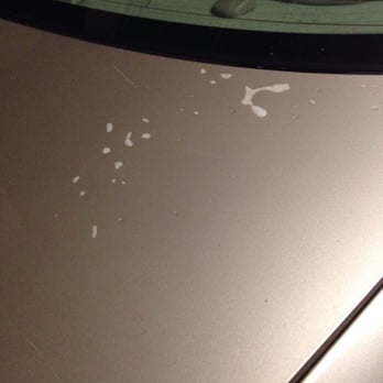 Chevron - Ugh. Left suds on my car?? Horrible place! - Convenience Stores Near Me - Pasadena, California