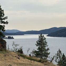 Stellas on the Hill