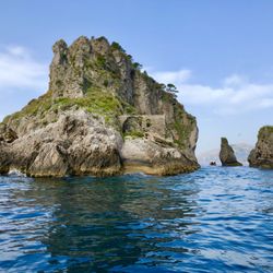 Exclusive Cruises