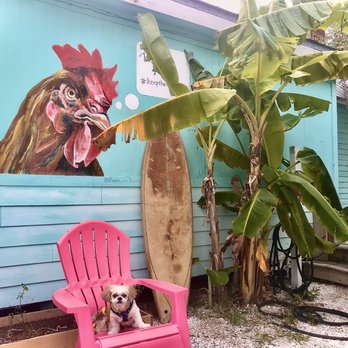 GoJuice - #Keeptheroosters - Juice Bars & Smoothies Near Me - New Smyrna Beach, Florida GoJuice - #Keeptheroosters - Juice Bars & Smoothies Near Me - New Smyrna Beach, Florida