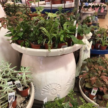 Pike Nurseries - Nurseries & Gardening Near Me - Atlanta, Georgia