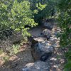 Southwest Nature Preserve gift card