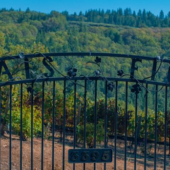 Mais Fica Winery - Mais Fica Vineyard Gate - Wineries Near Me - Placerville, California Mais Fica Winery - Mais Fica Vineyard Gate - Wineries Near Me - Placerville, California