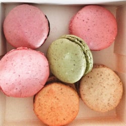 Sève - Passion macaron