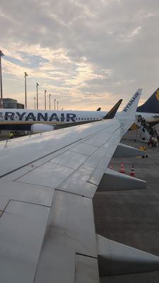 Berlin Brandenburg Airport by null