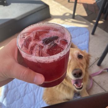 Four Day Ray Brewing Yorktown - Cosmic margarita 10/10 - Breweries Near Me - Yorktown, Indiana