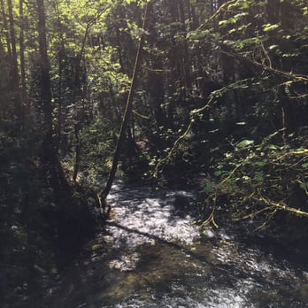 Whatcom Falls Park - Dog Parks Near Me - Bellingham, Washington