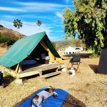 Camp Catalina Whites Landing - "Let sleeping dogs lay" - Unknown - Campgrounds Near Me - Avalon, California