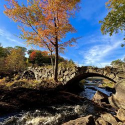 Stone Arch Bridge - Absolutely gorgeous in the fall!! 10/5/23