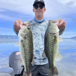 Clear Lake Bass Guide - Largemouth bass