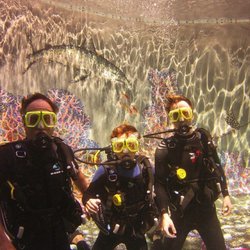 Dive Wailea - See you underwater!