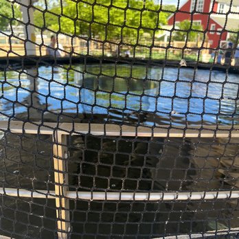 Honolulu Zoo - Fish pond in Keiki Zoo (kids). You can go into the tunnel and see the fish that way (no not the parents). - Zoos Near Me - Honolulu, Hawaii