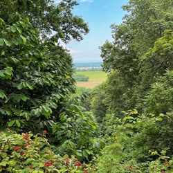 Bolivar Heights Battlefield