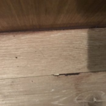 Johnny Brink's Floor Store - a close up of a piece of wood - Flooring Near Me - Kerrville, Texas Johnny Brink's Floor Store - a close up of a piece of wood - Flooring Near Me - Kerrville, Texas