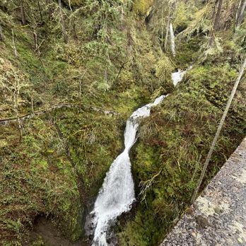 Oregon Tour Co. - Historical Tours Near Me - Portland, Oregon Oregon Tour Co. - Historical Tours Near Me - Portland, Oregon
