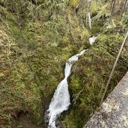 Oregon Tour Co.