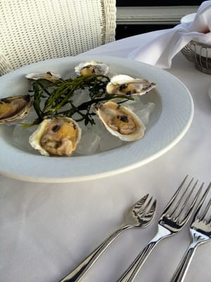 Peter Shields Inn & Restaurant by null