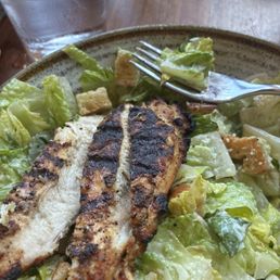 Burnt chicken. Dry salad Burnt chicken. Dry salad