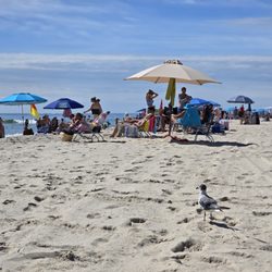 Borough of Beach Haven - Beach Haven