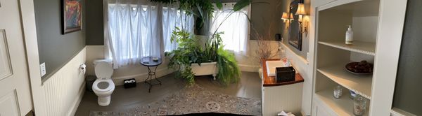 The Painted Lady by null