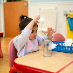 Apple Montessori Schools & Camps - Wayne