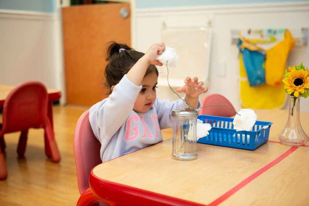 Apple Montessori Schools & Camps - Wayne - childcare center in Wayne, NJ