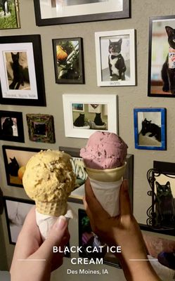 Black Cat Ice Cream by null