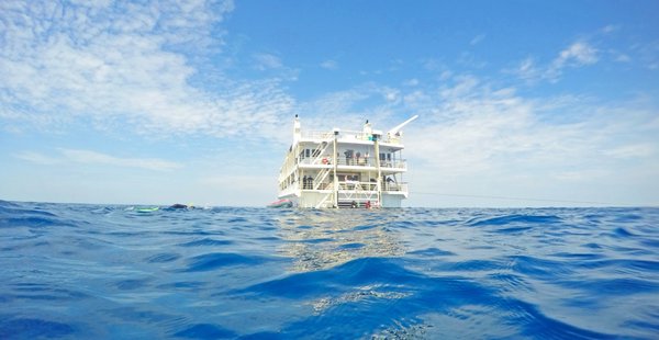 Coral Expeditions - Small Ship Cruising by null