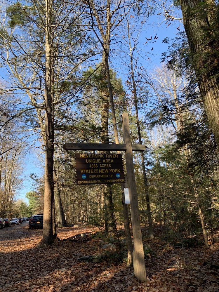 NEVERSINK RIVER UNIQUE AREA 23 Photos 754 Katrina Falls Rd, Rock